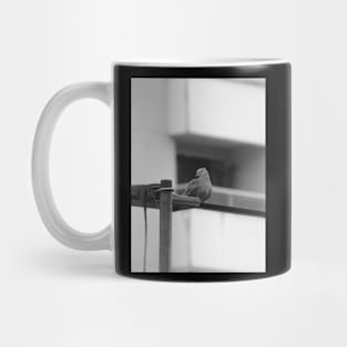 Pássaros Mug